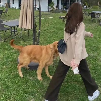 无敌拳王